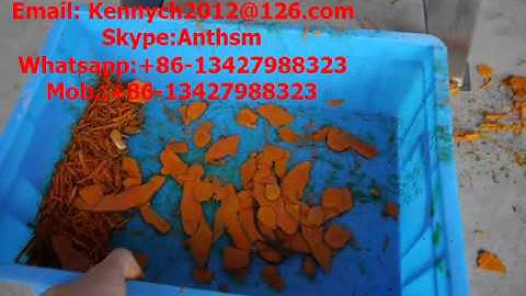 Sh-100 root vegetable cutting machine, ginger sclier , shredder, cutter