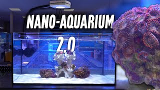 NANO AQUARIUM 2.0 - Unser 54 Liter PlanktonPlus Meerwasseraquarium