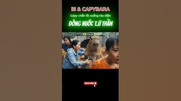Capybara chắn lối xuống tàu điện và cứu cả đám đông khỏi dòng nước t.ử thần #trending #ytshorts #ai