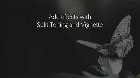 Balancing colours in your images – DSLR Tutorial @withluke | Adobe UK