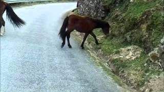 03 Abril de 2012 - Roteiro Turistico