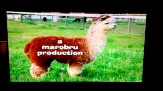 Pilot Boy - Marobru