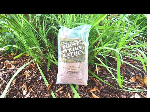 FIRST STRIKE MRE W/LATTE, BBQ CHIX & FRENCH TOAST