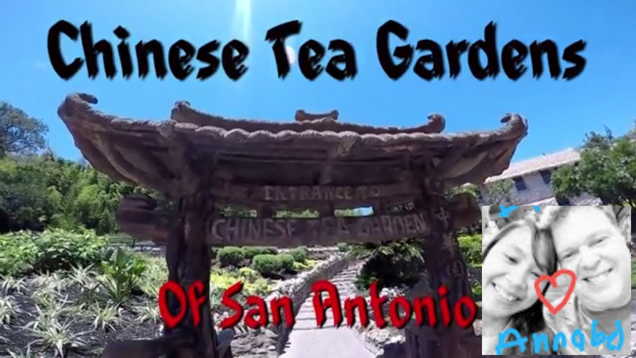 Chinese Tea Gardens of San Antonio YouTube