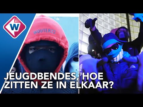 Crips en Bloods: jeugdbendes in de regio - OMROEP WEST