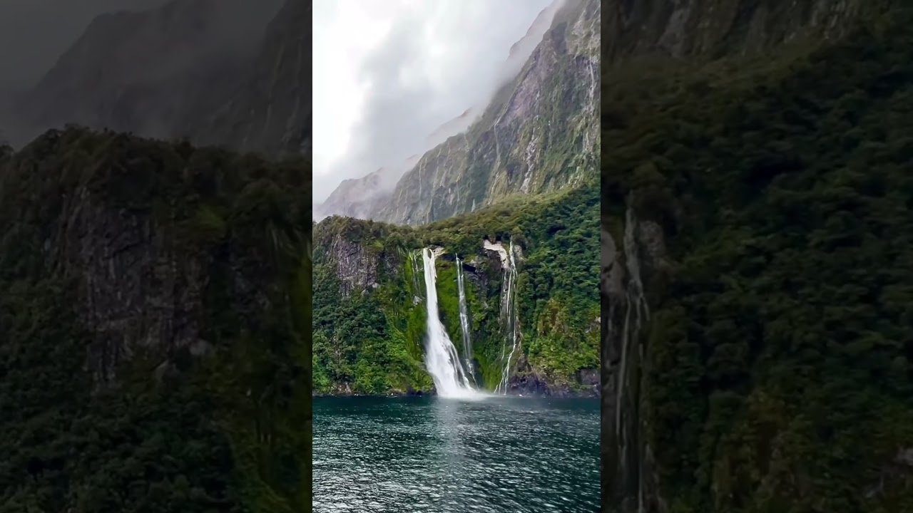 Fiordland National Park - You have to see this place to believe it…🇳🇿