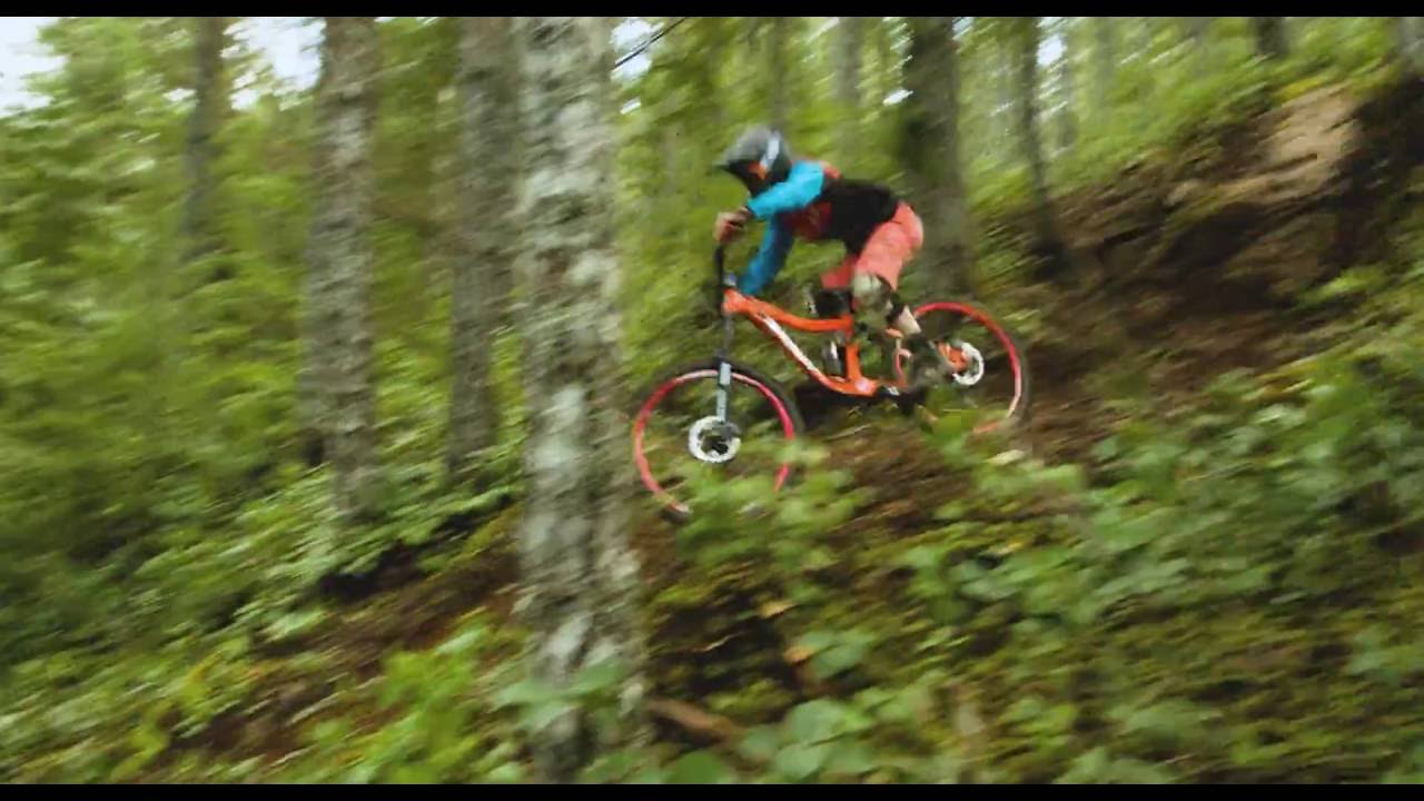 Mark Matthews   Knolly Delirium HD