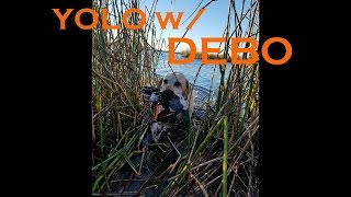 Duck Hunting - Yolo Wildlife Refuge - NorCal - 2016.12.17