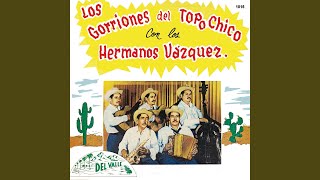 Video thumbnail of "Los gorriones del Topo Chico - Morenita Mia (Rancheras)"