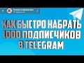 Как раскрутить телеграм канал. 1000 подписчиков за месяц в telegram