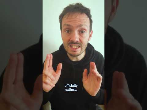 Guide to Edinburgh by Stuart Laws | Stand up comedian
