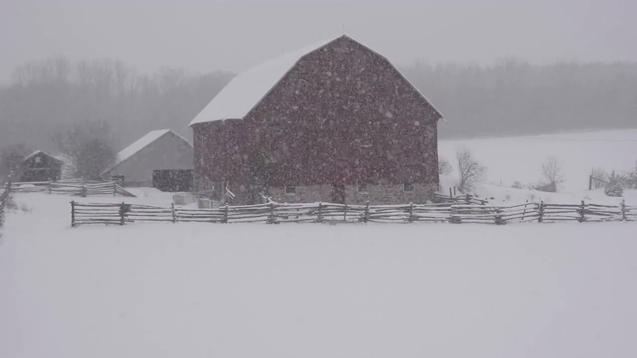 Stunning Sounds - Relaxing Snowfall on Barn - Sound of Wind Breeze and Falling Snow