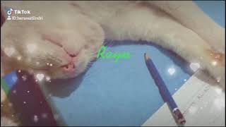 Saking Rajinnya Belajar Nympe Ketiduran