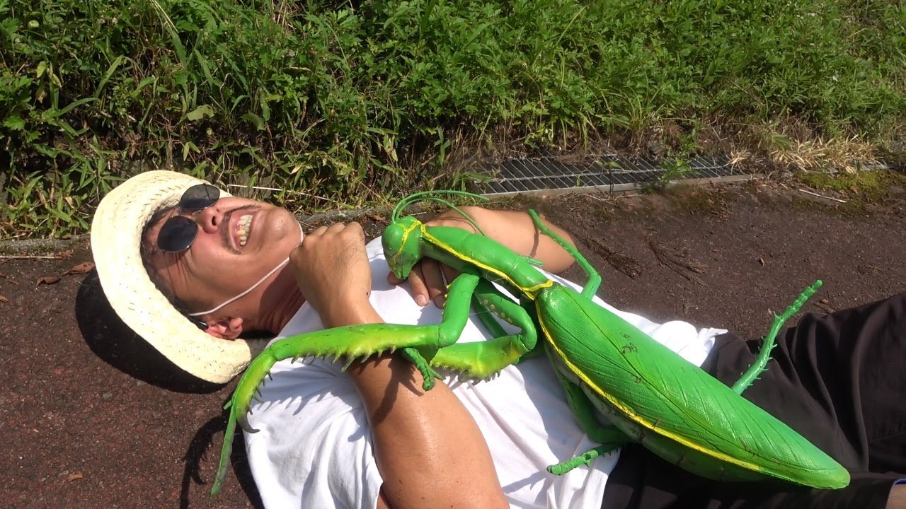 巨大昆虫物語☆巨大カマキリ＆巨大ムカデ