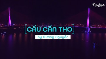 Cầu Cần Thơ về đêm