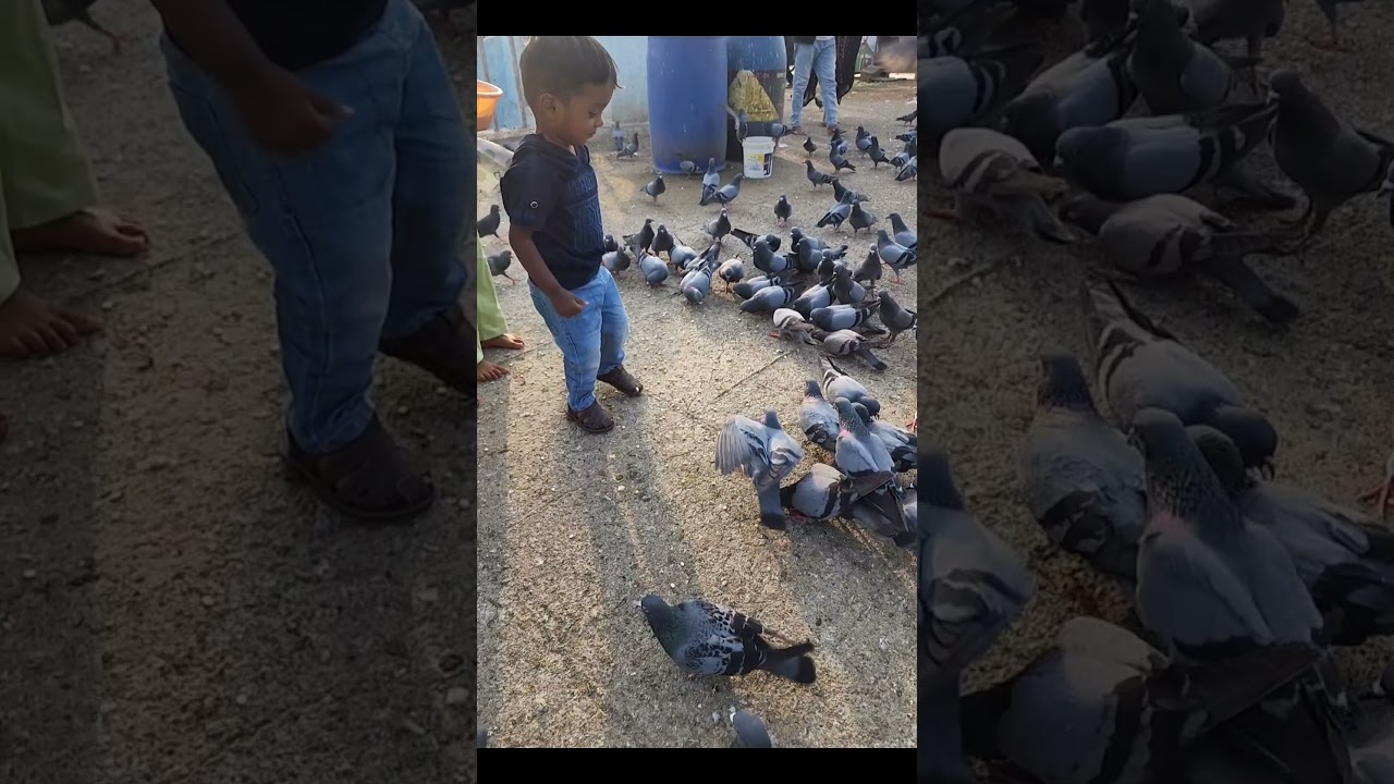 Like 👍 share subscribe