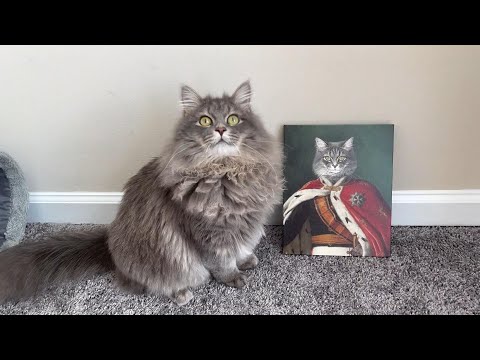 Furryroyal king pet portrait- A unique gift for your fur baby