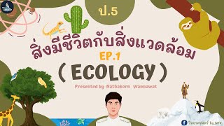 วิทยาศาสตร์ by NTK : สิ่งมีชีวิตกับสิ่งแวดล้อม (การปรับตัว) ป.5 EP.1