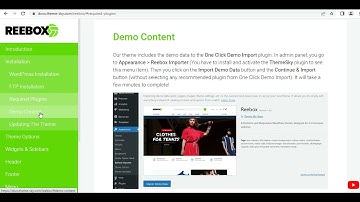 Reebox - Install The Theme and Import Demo Content