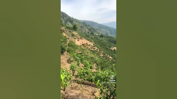 Đất vườn Phú Sơn - Lâm Hà - Lâm Đồng. S: 2ha . Giá 120/1 sào. Liên hệ : 0368344959