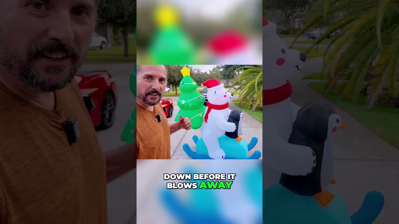 Обзор фильма «Белый медведь и пингвин Гариг» | Это просто сокровище | Обзоры Unscripted