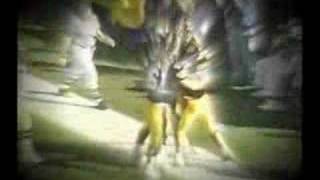 FAST.FORWARD:Iowa Football
