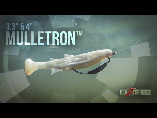 Introducing the Mulletron Loose Body 