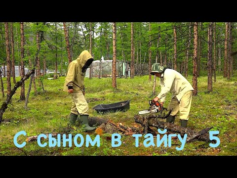 С сыном в тайгу 5. Плато Путорана / Together with my son to Siberia 5 / Сибирь