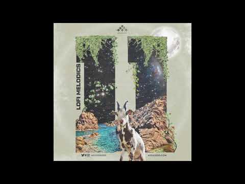 Lofi Hip Hop