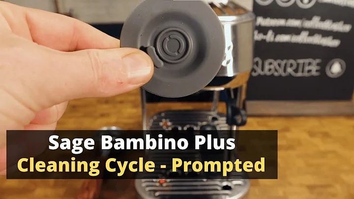 Cleaning Cycle on Sage or Breville Bambino Plus When Prompted