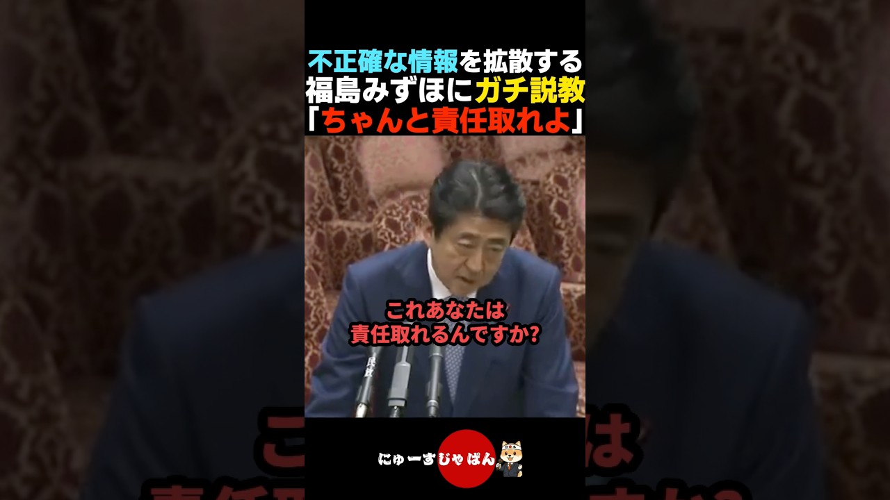 【激ギレ】誤情報を拡散する福島瑞穂にガチ説教する安倍晋三【自民党/高市早苗/麻生太郎】