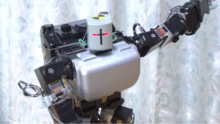 ヒューマノイドロボットの複雑な動きとバランス維持に関する実験（Experiment of complex motion and balance control by a humanoid robot）