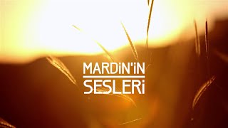 MARDİN'İN SESLERİ / SOUNDS OF MARDIN 马尔丁声音