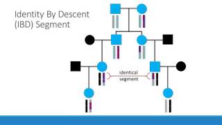DNA Interest Group | DNA Segments - Triangulate or Exasperate