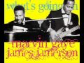 Bassvoice best duet ever  james jamerson  marvin gaye  whats going on