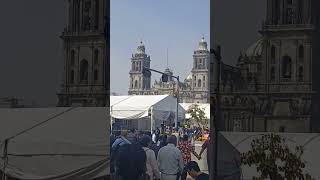 Zocalo #short catedral mexico #shortsfeed #shortsviral  zocalo de mexico hoy mexico zocalo en vivo