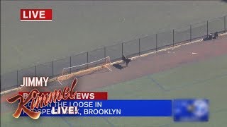Jimmy Kimmel on Brooklyn Cow's Great Escape