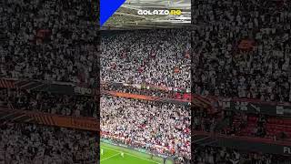 Fanii Lui Spurs Celebrează Câștigarea Trofeului Europa League