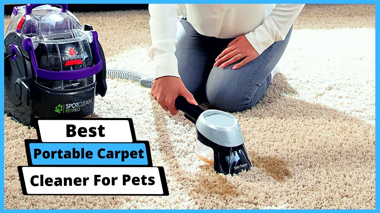 Best Portable Carpet Cleaner For Pets