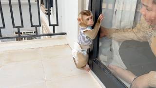 POOR FIDO Trying Hard To Open Door To Get Mom In Room