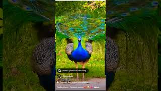 ucmdsxkd