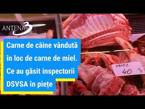 Video: Care este diferența dintre un miel și o oaie?