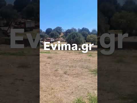 Φωτιά στο Λευκαντί Ευβοίας