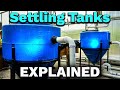 What settling tank should you use for aquaponics?