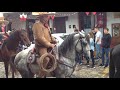 Desfile de charros Tapalpa 2019