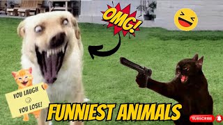 Laugh Out Loud With Funniest Animal Antics 🤣 Funniest Moments Caught on Camera!🤣