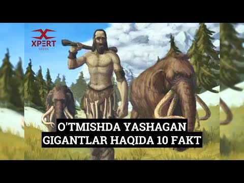 Video: Ay haqqında TOP 10 fakt