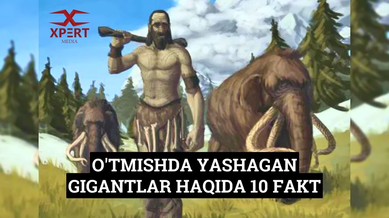 Mehmonxonalarda sikayotgan turk ayollarining yashirin kamerasi Chexiya kastingi