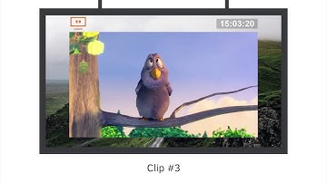 Yodeck - Seamless Video Transitions on the Raspberry Pi