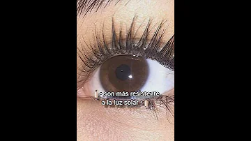 ¿Por qué es mejor tener los ojos marrones?